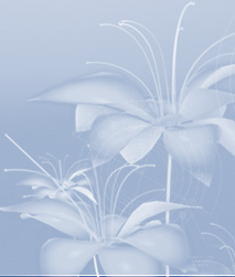 ǳ����Ѷ������� LightBlue Vision Studio|ǳ����Ѷ LightBlue.net